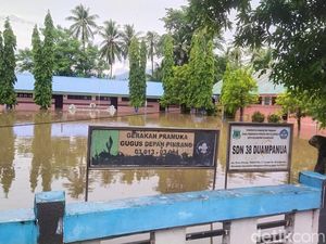 Banjir Rendam 200 Rumah-100 Ha Kebun Salak gegara Sungai Meluap di Pinrang Banjir Rendam 200 Rumah-100 Ha Kebun Salak gegara Sungai Meluap di Pinrang