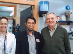 Kulit Domba Garut Dijadikan Kolagen, Ini Inovasi Peneliti Fapet UGM