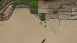 25 Hektare Lahan Persawahan di Kabupaten Serang Terendam Banjir