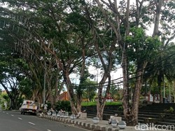 Pohon di Taman Jagat Karana Dipasangi Lampu Hias, Anggaran Rp 250 Juta