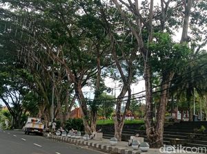Pohon di Taman Jagat Karana Dipasangi Lampu Hias, Anggaran Rp 250 Juta Pohon di Taman Jagat Karana Dipasangi Lampu Hias, Anggaran Rp 250 Juta