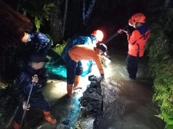 TPT Anak Sungai Cipelang Ambruk, Sawah hingga Rumah Warga Terendam