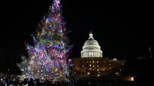 Pohon Natal Capitol dari Alaska Menerangi Washington DC