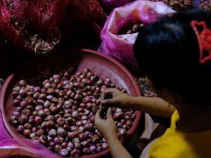 Potret Jasa Kupas Kulit Bawang, Dibayar Rp 15 Ribu/Karung