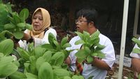 Beasiswa untuk Siswa SLB Budi Daya Jakarta Timur