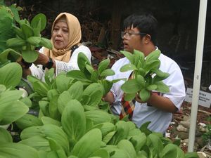 Beasiswa untuk Siswa SLB Budi Daya Jakarta Timur Beasiswa untuk Siswa SLB Budi Daya Jakarta Timur