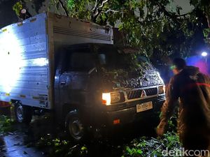10 Pohon Tumbang Akibat Angin Kencang di Mojokerto, 1 Mobil Tertimpa 10 Pohon Tumbang Akibat Angin Kencang di Mojokerto, 1 Mobil Tertimpa