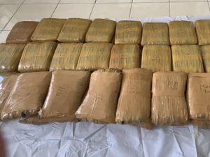 BNNP Babel Gagalkan Penyelundupan 55 Kg Ganja Asal Sumut ke Bangka