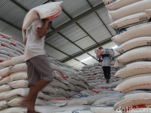 Bulog Buka Suara soal Rencana Prabowo Bikin Gudang Darurat Bulog Buka Suara soal Rencana Prabowo Bikin Gudang Darurat