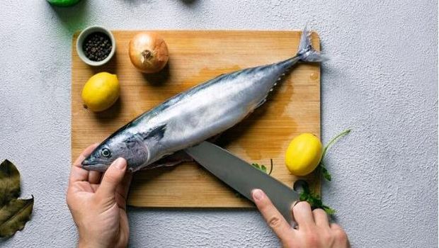 Ikan Tuna/Foto: Freepik/Freepik