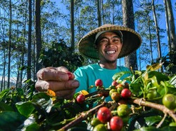 Dirut BRI: Sektor Pertanian Kunci Pastikan Ketahanan Pangan