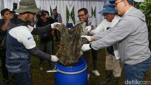 Limbah Organik Bisa Diolah Jadi Pupuk, Nih Caranya