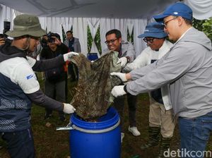 Limbah Organik Bisa Diolah Jadi Pupuk, Nih Caranya Limbah Organik Bisa Diolah Jadi Pupuk, Nih Caranya
