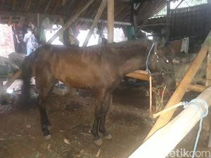 Horor Bendi Malam-malam Melaju Tanpa Kusir di Boyolali Terungkap, Ternyata... Horor Bendi Malam-malam Melaju Tanpa Kusir di Boyolali Terungkap, Ternyata...