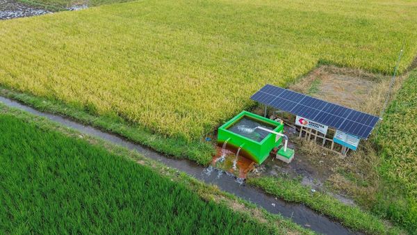 Lahan Pertanian di Lumajang Pakai Pompa Air Tenaga Surya
