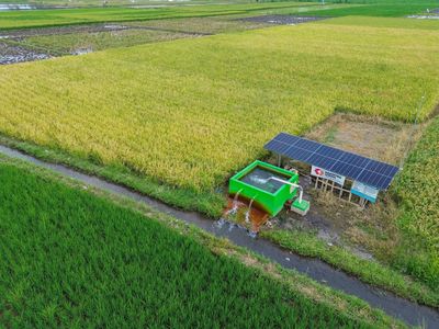 Lahan Pertanian di Lumajang Pakai Pompa Air Tenaga Surya