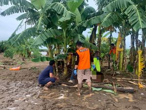 Heboh Mayat Pria Tersangkut di Pohon Pisang Sukabumi, Diduga Korban Bencana