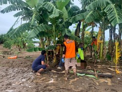 Identitas Mayat Tersangkut Pohon Pisang di Sukabumi Terungkap