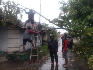 Lisus Ngamuk di Perbatasan Klaten-Gunungkidul, Puluhan Rumah Rusak Lisus Ngamuk di Perbatasan Klaten-Gunungkidul, Puluhan Rumah Rusak