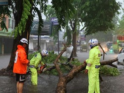 Polisi Gercep Bantu Evakuasi 10 Pohon Tumbang di Mojokerto