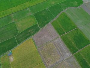 Pascatambang untuk Ketahanan Pangan, Air, dan Energi