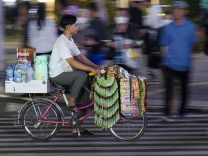Potret Starling Siang Malam Kejar Cuan di Kota Jakarta Potret Starling Siang Malam Kejar Cuan di Kota Jakarta