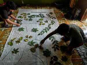 Potret Pembuatan Kain Ecoprint yang Dijual Rp 175 Ribu-Rp 250 Ribu