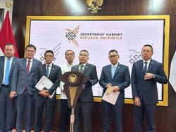 Diskusi dengan Prabowo, Dasco Usul PPN 12% Hanya Dikenakan ke Barang Mewah