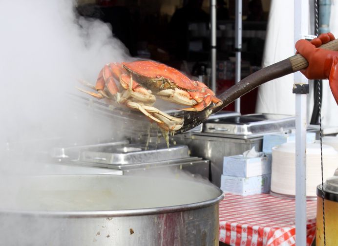 Ternyata Kepiting Bisa Rasakan Sakit ketika Direbus Hidup-hidup