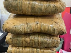 Driver Ojol di Bogor Ditangkap Saat Ambil Ganja 5,2 Kg dari Gerobak Mi Ayam