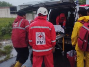 Tertimpa Pohon Tumbang, Pelajar Karanganyar Dilarikan ke RS