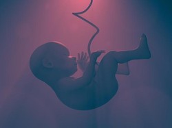 Janji Setia Manusia pada Allah ketika Berada di Alam Rahim