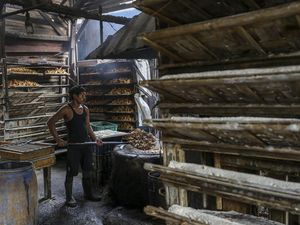 Impor Kedelai Capai 2,6 Juta Ton Sampai Akhir 2024 Impor Kedelai Capai 2,6 Juta Ton Sampai Akhir 2024