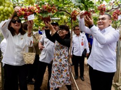 Wamen ATR/BPN: Kampung Reforma Agraria di Palu Sukses Berdayakan Warga