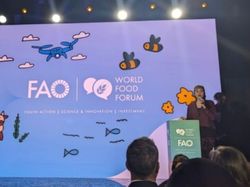 Mahasiswa UB Sulap Buah Mangrove Jadi Makanan Darurat, Menangi Lomba Internasional!