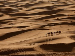 Debu di Sahara Mengandung Radioaktif, Sumbernya Tak Terduga