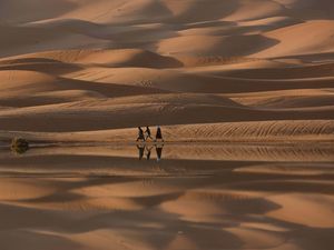 Peneliti Ciptakan Teknologi Panen Air di Gurun dari Udara Peneliti Ciptakan Teknologi Panen Air di Gurun dari Udara
