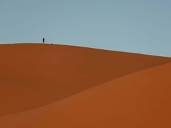 Dinosaurus Pertama Diduga Terkubur di Tempat Paling Tersembunyi di Bumi