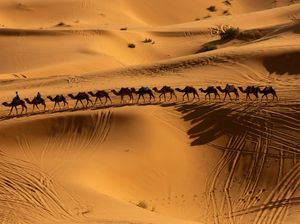 Menikmati Pesona Gurun Sahara Erg Chebbi di Maroko Menikmati Pesona Gurun Sahara Erg Chebbi di Maroko