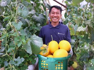 Cerita Mantan Penambang Ilegal Alih Profesi Jadi Petani-Peternak