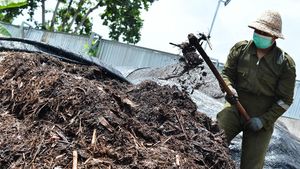 Sampah Destinasi Wisata di Bali Disulap Jadi Pupuk Kompos