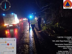 Pohon Sono Tumbang di Ngantang Sempat Tutup Akses Jalan Malang-Kediri