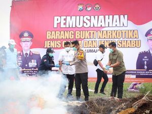 Polres Lumajang Bakar 47.169 Batang Ganja Sitaan dari Lereng Semeru
