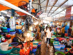 Biasa Dijual di Pasar, Makhluk Laut Bermulut Besar Ternyata Spesies Baru