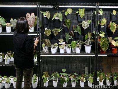 Tanaman Hias Lokal hingga Mancanegara Dipamerkan di ICE BSD