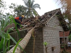 BPBD Catat Belasan Pohon Tumbang-Tanah Longsor di Karangasem