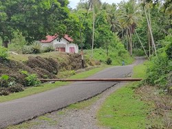 Pohon-Tiang Jaringan PLN Tumbang di Selayar, Listrik Padam di 5 Kecamatan