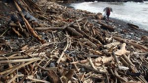 Sampah Kotori Pantai Loji Sukabumi