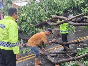 Pohon di Lamongan Tumbang Timpa Ibu Anak Kendarai Motor