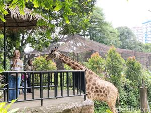 Harga Tiket Kebun Binatang Bandung Desember 2024: Liburan Seru Akhir Tahun Harga Tiket Kebun Binatang Bandung Desember 2024: Liburan Seru Akhir Tahun